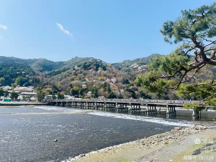 日本本州游记(二)——京都(岚山、清水寺、平安神宫)